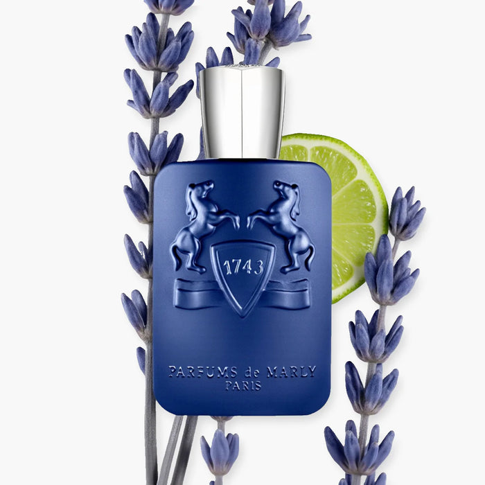 PERCIVAL 125 MLS